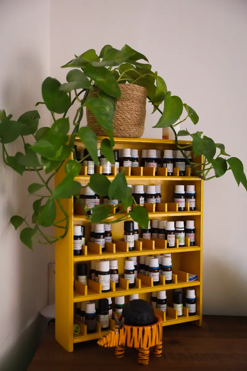 Plantes médicinales et phytothérapie – Edlothia